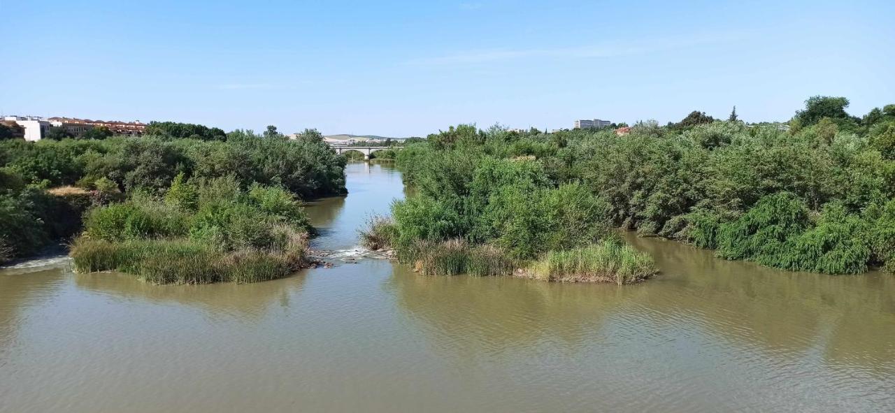 La Pequena Taifa I Apartman Córdoba Kültér fotó